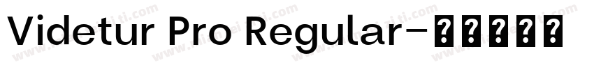Videtur Pro Regular字体转换